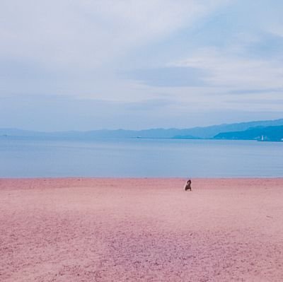 愛しく、切なく、懐かしい世界。
　　　　　　　                                                                     
写真作品集「アニメのワンシーンのように。」　　　　　　　　　
販売中 https://t.co/SWfnF3agz1