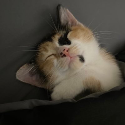 ScreenSZN141's profile picture. Nothing