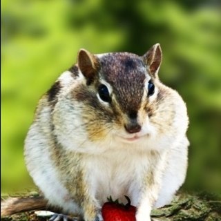 cjporter88's profile picture. 