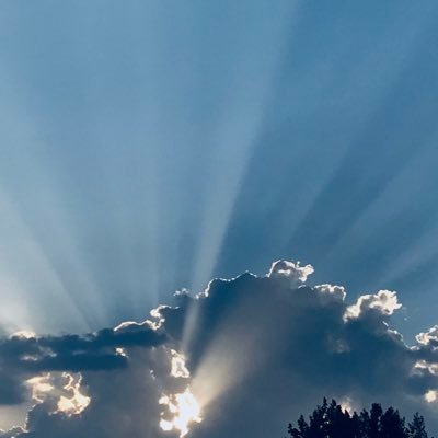 im_Uncia's profile picture. Research Associate | Tumor Heterogeneity | Wildlife enthusiast | Trekking | Mountains & Beaches | Justice Delayed is Denied | @standwKashmir @CivitasKashmir