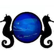 We offer services to build, maintain, repair, and expand any freshwater and saltwater tank aquariums. Seller of aquarium related products, materials, and more