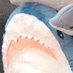 @seven_theShark