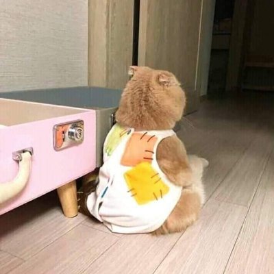 KuroInk2's profile picture. 