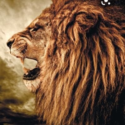 derixbell (IG)
7042395346
#NOWWEGRIND