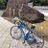 colnagocrsrider's profile image