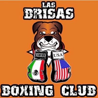 lasbrisasboxing's profile picture. 