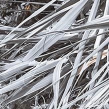 puntosdevista9's profile picture. solo escribiré mis sentimientos y pensamientos .