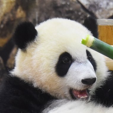 東郷翔太さんのプロフィール画像