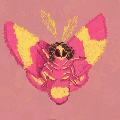 mariposa_bruxa Profile Picture