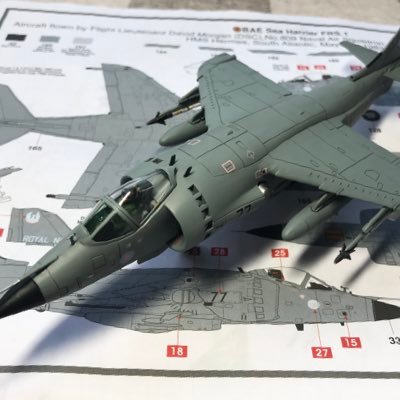 模型とヒコーキ。手入れされ矍鑠とした生きている機械が好き。諸外国へ転売された元米軍機なんか大好物。カネを払って苦労を買って、積みを増やしているアマチュア。 八九 六四天安門事件 千万別忘了天安門!