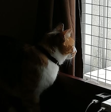 fuji0654's profile picture. 