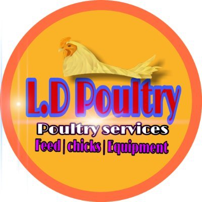 All Solution For Poultry Farming
#chicken , #Feed , #Medicine , #Readychicken , #Partyorderchicken ,
#Japfacomfeed , #Anmolfeed , #Bhagalpurpoultry