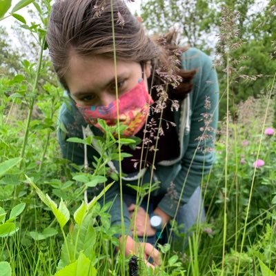PhD candidate @NorthwesternU and @ChicagoBotanic studying floral scent and evolution. she/they 🏳️🌈