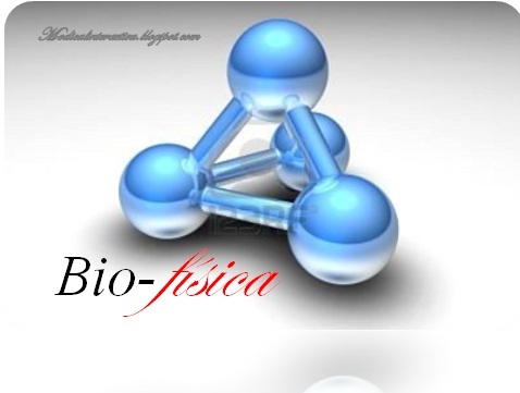 biofab11's profile picture. 
