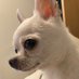 higashino (@_tosahi) Twitter profile photo higashino (@_tosahi) Twitter profile photo