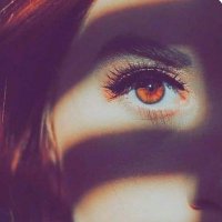 jdk20100 (@jdk20110) 's Twitter Profile