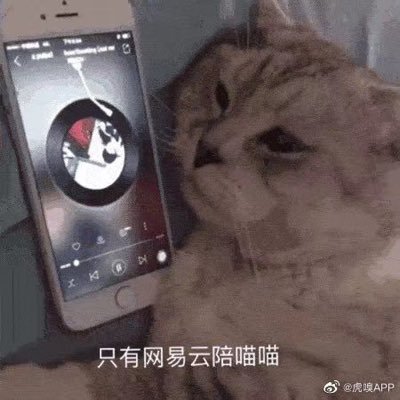 h8DmTCacmFBgKkG's profile picture. 