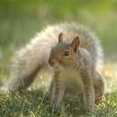 Breanna Rae Edwards - @Beautiful_Rae10 - Twitter