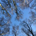 Chris McLernon - @ChrisMcLernon5 - Twitter