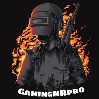 GamingNRpro(@rpro_n) 's Twitter Profile Photo