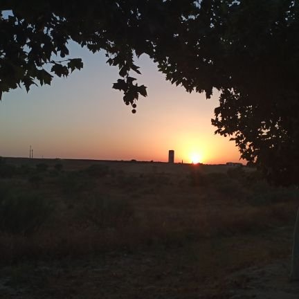 AnaH03491919's profile picture. me considero muy alegre y divertida