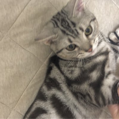 fkmt_a's profile picture. 