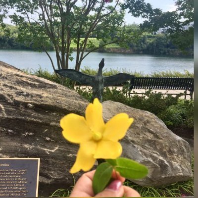 Migrante Peruana retornada📍Feminista, Antiracista (hastaquenoseanecesarioserlo) Interés en Salud, Ciencia, Política.🌎 #decolonizingmymind