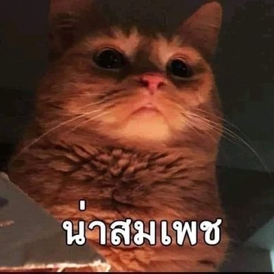 MamaJo007's profile picture. 