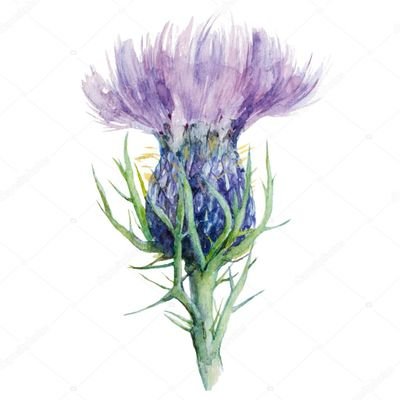 rab_kenny's profile picture. What the world needs is hope for a better, safer, healthier and stable future. okay, dream on I hear you say, but our world in the Highlands of Scotland is so.