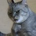 meow (@jinyunchae) Twitter profile photo meow (@jinyunchae) Twitter profile photo
