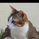 jacob mayorga - @jacobmayorga6 - Twitter