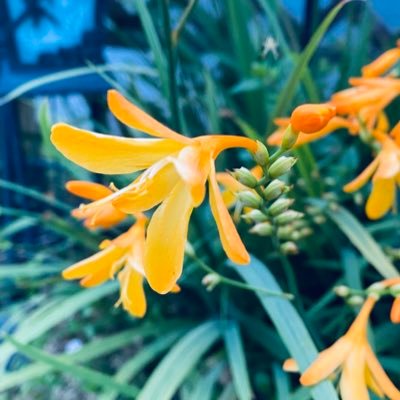 yew*さんのプロフィール画像