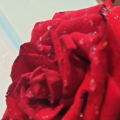 “ إِنّي أَبيتُ قَليلَ النَومِ أَرَّقَني
قَلبٌ تَصارَعَ فيهِ الهَمُّ وَالهِمَمُ “