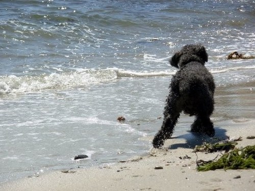 sharitweets's profile picture. 