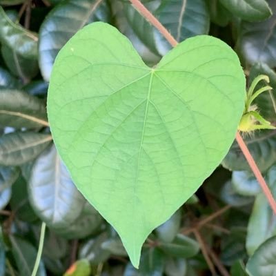 ojHtV0twbxQDNte's profile picture. 