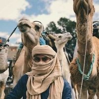 المنجنيق🛡️ (@mnjn_8) 's Twitter Profile