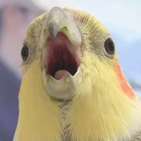 4maikey3 (@4maikey3) 's Twitter Profile