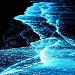 Mahakkh12418179's profile picture. I,m student