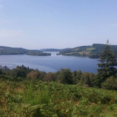 MimartNicolas's profile picture. Hominidé