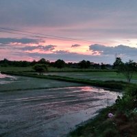 KvkMorigaon (@kvkmorigaon) 's Twitter Profile
