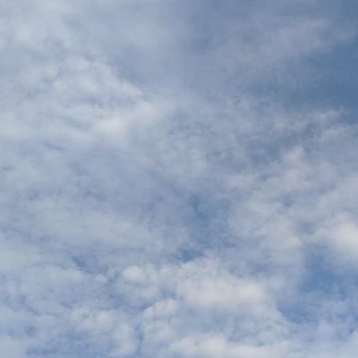 ShowRiseGo's profile picture. 