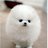 jifu1007's profile image