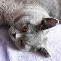 Zbigniew (@zbigniewbajka) 's Twitter Profile
