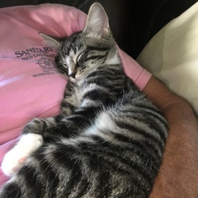 27swilliams27's profile picture. proud public school principal (ret.), ecstatic grandfather, thrilled to find my new life partner