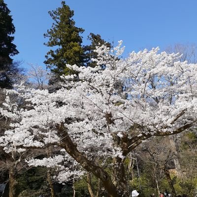 名所、神社、お寺、観光地など巡るのが好きです。