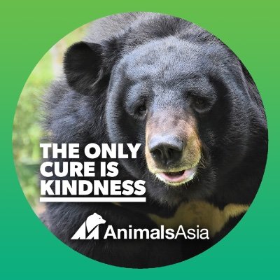 News and events for @AnimalsAsia supporters in Australia. Follow us to keep up‐to‐date with all the local activities.