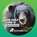 Animals Asia Australia (@animalsasia_aus) Twitter profile photo Animals Asia Australia (@animalsasia_aus) Twitter profile photo