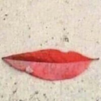 ااااا (@2xwmvo1psckreag) Twitter profile photo