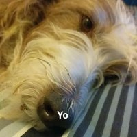 Julian (@julianbhafc) 's Twitter Profile Photo Julian (@julianbhafc) 's Twitter Profile Photo