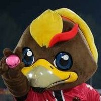 りょう (@mameo_zweigen) 's Twitter Profile